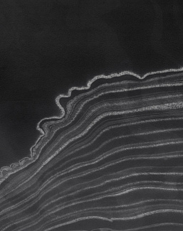 Панно и фотообои Calico Sumi Pebble