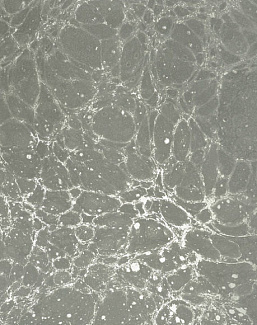 Панно и фотообои Calico Lunaris Fog
