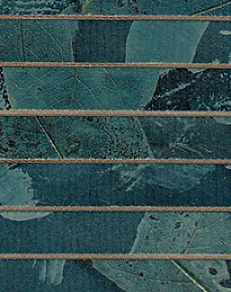 Обои Innovations Collection Botanica BOT-05 EUCALYPTUS