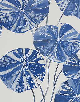 Обои Designers Guild Zardozi PDG1061-05