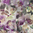 Обои Designers Guild Zardozi PDG1062-03