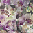 Обои Designers Guild Zardozi PDG1062-03