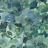 Обои Designers Guild Zardozi PDG1062-04