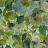 Обои Designers Guild Zardozi PDG1062-05