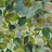 Обои Designers Guild Zardozi PDG1062-05