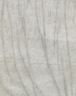 Обои Holland & Sherry Docere WP2542/Variant Pearl