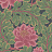Обои Cole & Son The Pearwood Collection 116-1002