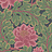 Обои Cole & Son The Pearwood Collection 116-1002