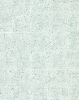Обои Zoffany Folio ZFOW312946