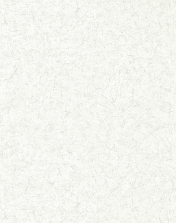 Обои Zoffany Folio ZFOW312956