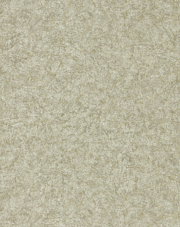 Обои Zoffany Folio ZFOW312959