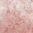 Обои 1838 Wallcoverings Capri 1602-107-10