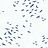 Обои Paper & Ink Navy, Grey & White BL70422