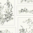 Обои York Magnolia Home Volume 1 MH1543
