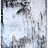 Обои Holland & Sherry Archetype Collection DEWP2312/Mizuya Chanoyu