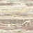 Обои York Candiсe Olson - Botanical Dreams NA0535