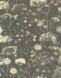 Обои York Candiсe Olson - Botanical Dreams NA0545