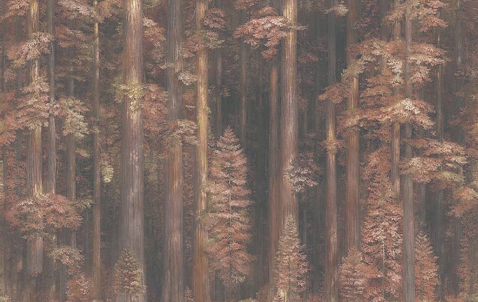 Российские панно и фотообои Applico, коллекция Six, артикул 0087-B