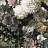 Обои Osborne & Little Mansfield Park W7454-01