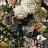 Обои Osborne & Little Mansfield Park W7454-02