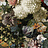Обои Osborne & Little Mansfield Park W7454-02