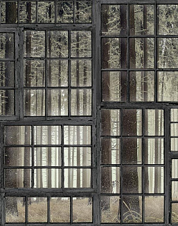 Панно и фотообои Hygge Wall Collection 4 H10911