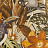 Обои Hohenberger Tropical 26748