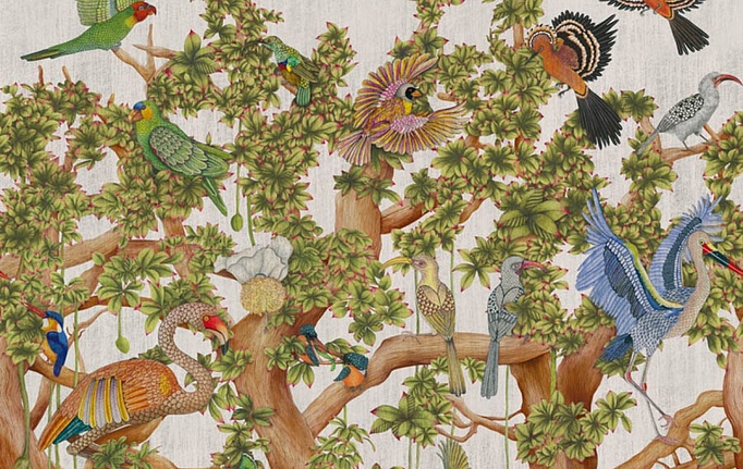 Английские обои Cole & Son, коллекция Ardmore Baobab, артикул 129/1001