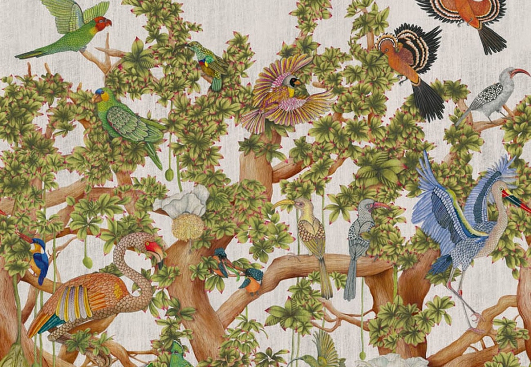 Обои Cole & Son Ardmore Baobab 129/1001