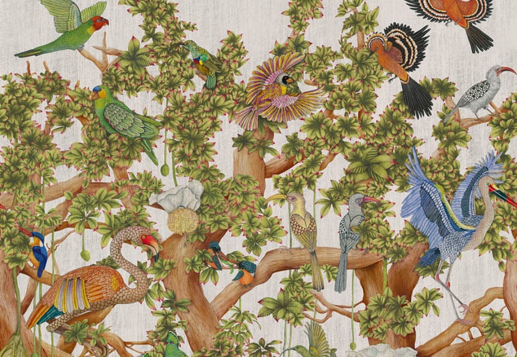 Обои Cole & Son Ardmore Baobab 129/1001