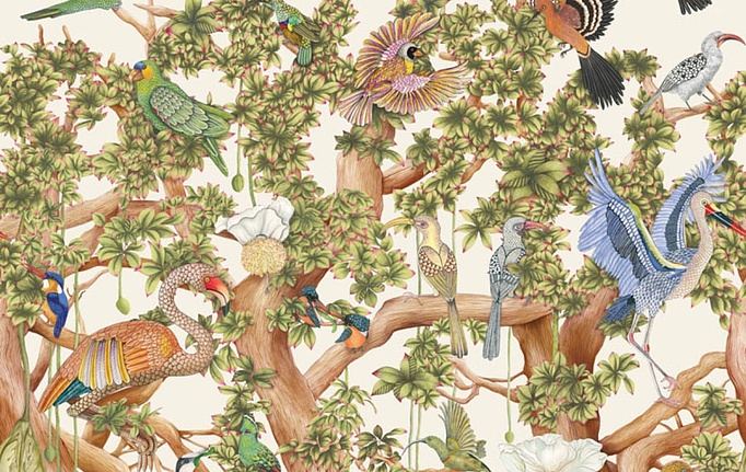 Английские обои Cole & Son, коллекция Ardmore Baobab, артикул 129/1002