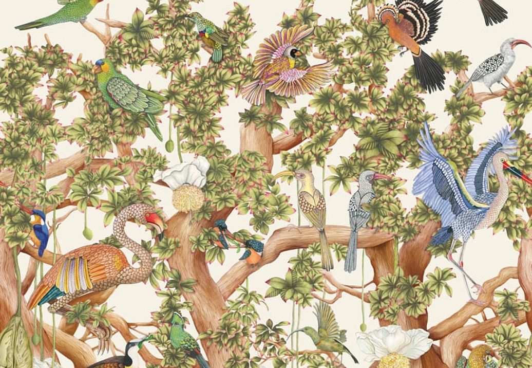 Обои Cole & Son Ardmore Baobab 129/1002