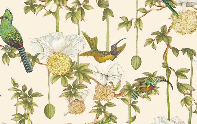Английские обои Cole & Son, коллекция Ardmore Baobab, артикул 129/2004