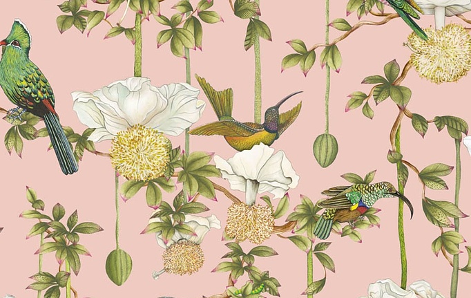 Английские обои Cole & Son, коллекция Ardmore Baobab, артикул 129/2005