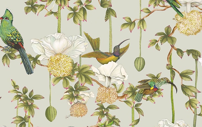 Английские обои Cole & Son, коллекция Ardmore Baobab, артикул 129/2006