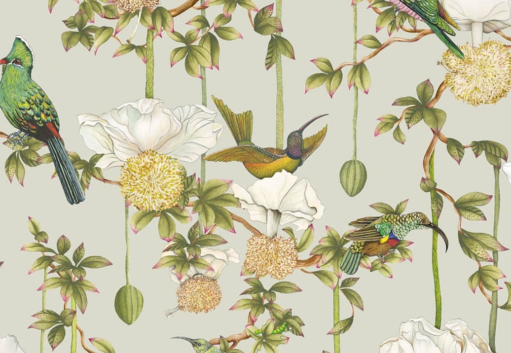 Обои Cole & Son Ardmore Baobab 129/2006