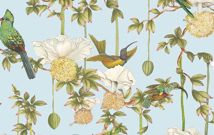 Английские обои Cole & Son, коллекция Ardmore Baobab, артикул 129/2007