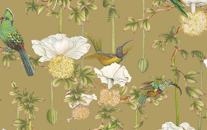 Английские обои Cole & Son, коллекция Ardmore Baobab, артикул 129/2008