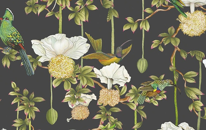 Английские обои Cole & Son, коллекция Ardmore Baobab, артикул 129/2009