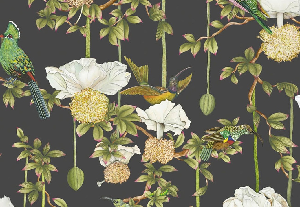 Обои Cole & Son Ardmore Baobab 129/2009