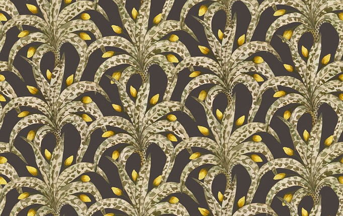 Английские обои Cole & Son, коллекция Ardmore Baobab, артикул 129/5019