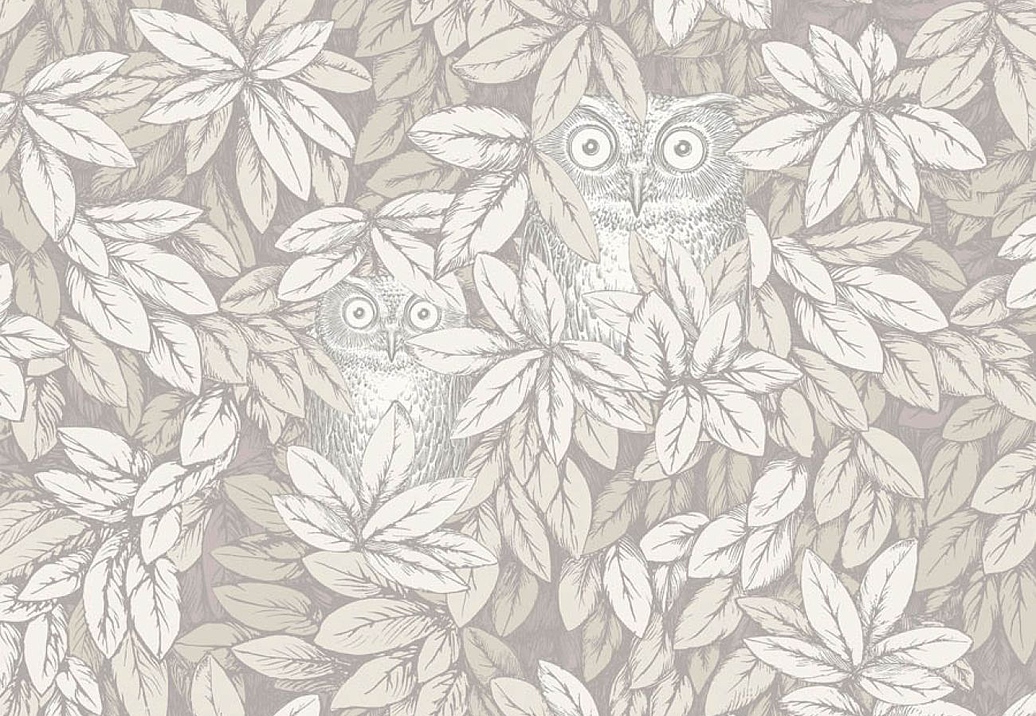Обои Cole & Son Fornasetti Senza Tempo II 123/11052