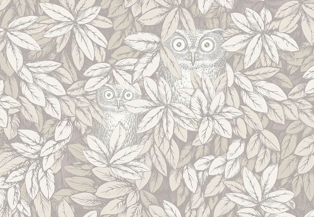 Обои Cole & Son Fornasetti Senza Tempo II 123/11052