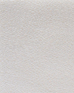 Обои Pierre Frey Natecru Textures n.3 FP038001