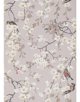 Обои Little Greene National Trust Papers II 0260MAGREYZ