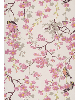 Обои Little Greene National Trust Papers II 0260MAMINER