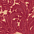 Обои Little Greene National Trust Papers II 0260TUTHEAT