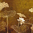 Панно и фотообои Coordonne Random Metallics 9602000