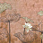 Панно и фотообои Coordonne Random Metallics 9602001