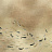 Панно и фотообои Coordonne Random Metallics 9600060